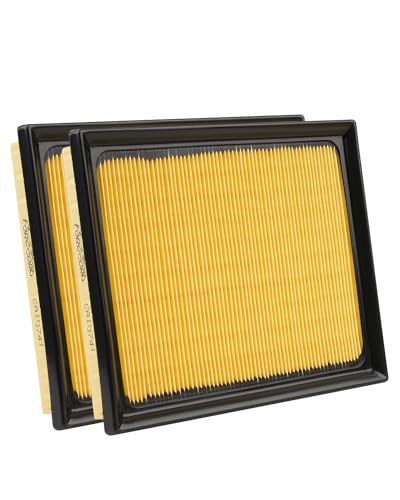 Image of 2-Pack Engine Air Filters for Lexus CT200h 11-17,NX300h 15-21