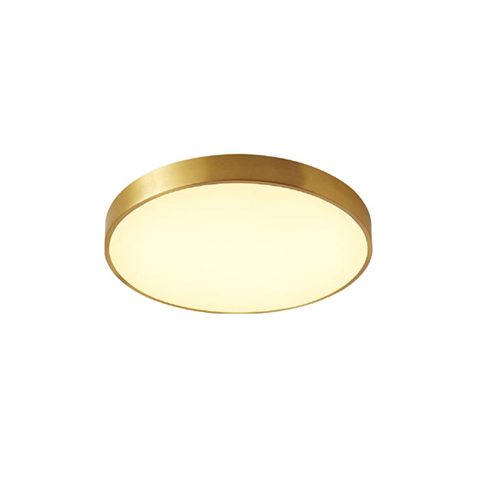 HerfsT LED Dimmable Ceiling Light, Golden Circular Flush Mount, 30cm, Warm White, 800 Lumen, Indoor, Traditional Style, Remote Control, Kitchen, Bedroom, Living Room, Hallway, Stairway