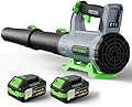 Leaf Blower Cordless with 2× 5.0Ah Batteries and Charger, 21V Electric, Lightweight Battery Powered Blowers for Lawn Care, Yard, Patio Cleaning, Blowing Leaves & Dust