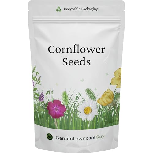Cornflower Seeds - UK Native Wildflower Ideal for Meadows Cottage Gardens Borders & Pollinators - Centaurea Cyanus - Garden Lawncare Guy (20g)