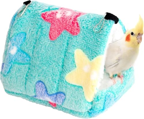 Bianstar pnbN Op`nEX  ݂艺 ۉEhB ()