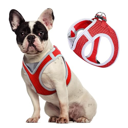 Kruz Dog Harness (Chest 16'-17', Weight 10–15 lbs) Athletica Adjustable Heavy Duty No Choke Puppy Vest for Small Dogs Lightweight Air Mesh, Reflective, Puppy Essentials – Red, Medium