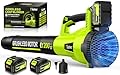 Tietoc Leaf Blower Cordless, 735CFM/200MPH Brushless Electric Leaf Blower with 2 X 5.0Ah Battery, 6 Speed Levels, 2 Extended Tube and Nozzles, Powerful Leaf Blowers for Lawn Care (Light Green)