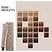 Schwarzkopf Professional Igora Royal Absolutes Hair Color, 7-60, Medium Blonde Chocolate Natural, 2.1 Ounce