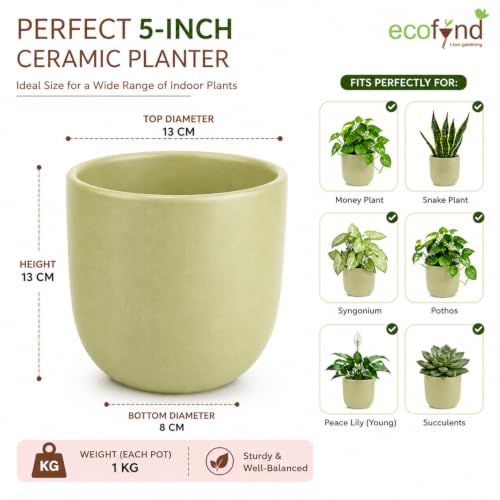Image of ecofynd 5 Inch Ceramic Plant Pots with Drainage Hole, Modern Decorative Clay Flower Pots for Indoor Plants, Home Garden Decor for Living Room, Bedroom & Interior Spaces (Pack of 2, CPOT041-LGN)