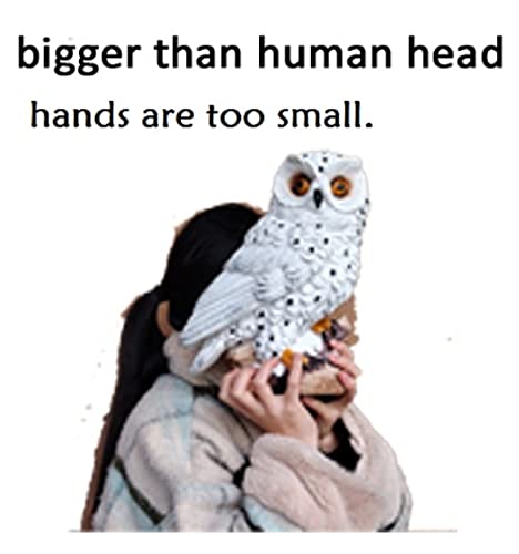 Resin 12 Inch White Owl Statue Big Mature Owl Sculpure Solar Led Night Light Owl Living With Gnomes In Fairy Garden Owl Indoor And Outdoor Garden Statue Protect Gnomes From Birds Table Decoration #TOP1