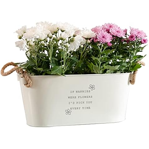 Dust and Things Engraved Flower Pot 'If Nannies Were Flowers I'd Pick You' - Unique Indoor Outdoor Herb Planter - Birthday for Nanny Nan Gran Cover