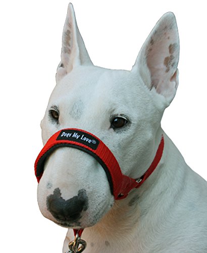 Dog Head Collar Halter Red 6 Sizes (XXL: 14"-16" Snout)