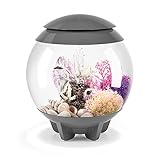biOrb HALO 15 Aquarium with MCR Lighting - 4 gallon, Grey (45653)