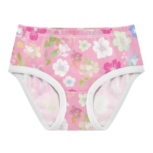 Toddler Underwear Floral 2t Cotton Panties Little Girl Artistic Briefs Girls Undies Pastel Flowers Soft Pink