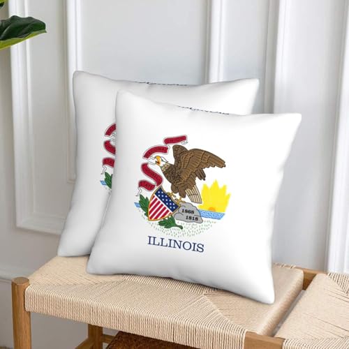 Housse de coussin imprimée drapeau Illinois pour lit et canapé extérieur - 7