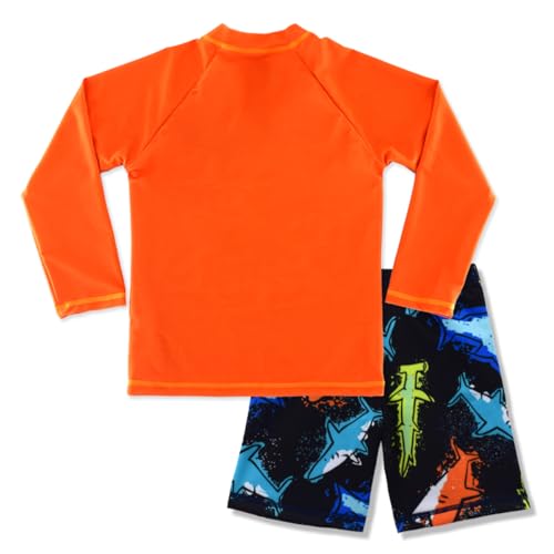 Boys UPF 50+ Long Sleeve Rash Guard and Swim Trunks Outfit Set Toddler to Big Boy Sizes (3-11Years)2