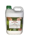 Estimula la absorción de nutrientes, mehorando el desarrollo vegetativo.