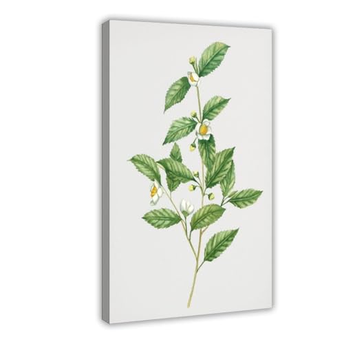 Poster cuisine minimaliste toile 20x30 cm : solution déco murale pour petits espaces et studio