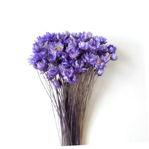 30pcs Mini Flores de Margarita Secas Artificiales miniatura 6