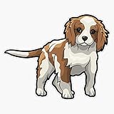 Cavalier King Charles Spaniel Sticker Vinyl Waterproof Sticker Decal Car Laptop Wall Window Bumper...
