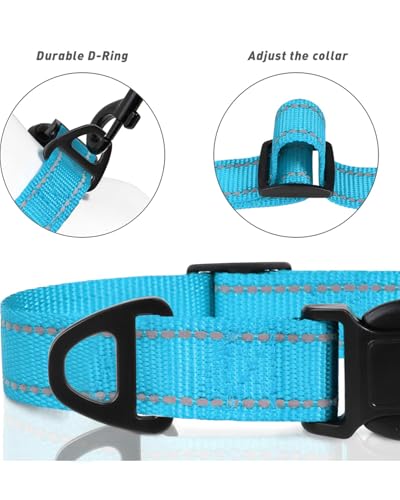 TagME Nylon Hundehalsband, Verstellbares Reflektierendes Hundehalsband mit Sicherheitsschnalle für Mittlere Hund, Himmelblau, 2.5cm Breite