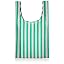 striped pink x green