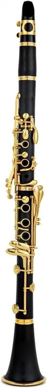 17 key clarinet instrument beginner professional playing clarinet