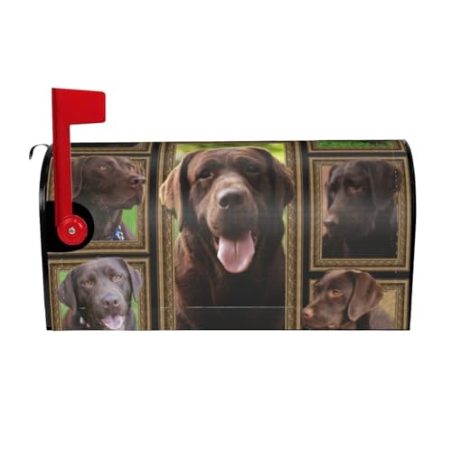 Xsovgoi Chocolate Labrador Magnetic Mailbox Cover Standard Size Post Box for Outdoor Garden Yard Home Decor 21x18 in