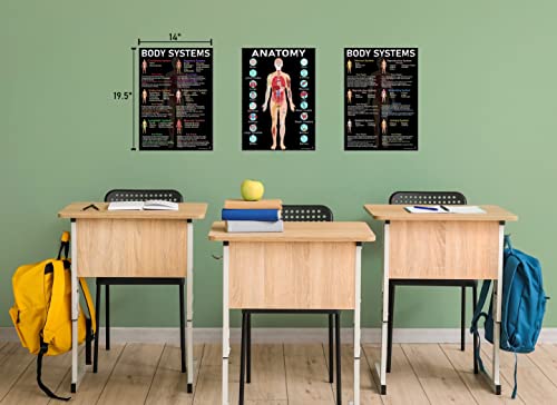 Human Anatomy And Body Systems Posters - Laminated 14X19.5 – Science Educational Charts, Classroom Posters And Decorations, Back To School Supplies, Learning Posters For Biology Class, Stem And Steam Posters #TOP2