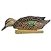 Avian-X Topflight Blue-Winged Teal Duck Decoys Bundled with Topflight Green Winged Teal Duck Decoys, Realistic Floating, Vibrant Paint, Multicolor