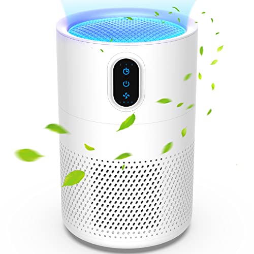 UK Best Air Purifier For Asthma (October 2022)