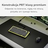 Glorious Gaming – GPBT Basics (nakładki PBT), 8 kolorów, nieblaknące, do spersonalizowanych klawiatur mechanicznych, pasuje do: 100%,75%,65%,60% – Układ amerykański QWERTY