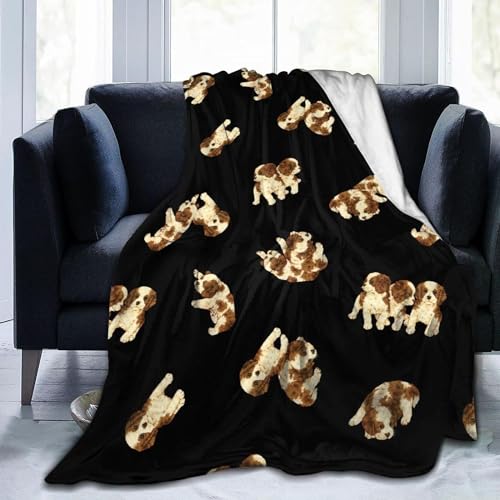 ѕz 킢 LoA XpjG(6) Aj Ђ| y  uPbg tl 􂦂 ÓdCh~ g _炩 Ȃ߂炩ȔG lGKp 蕨 127×152cm W170 60x50inch