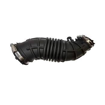 Amazon.com: Genuine OEM 28130-C5300 Air Intake Hose
