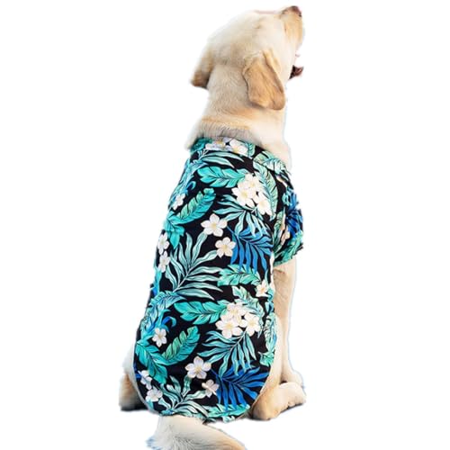 ISUPY   tėp AnVc  Č Hc ybgEFA p[J[  ʋC _炩 ^ ^ ^ m Eѕی ƒ U ybgpi (4XL,ubNu[)