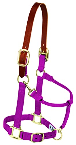 Weaver Leather Nylon Adjustable Breakaway Horse Halter Average Raspberry