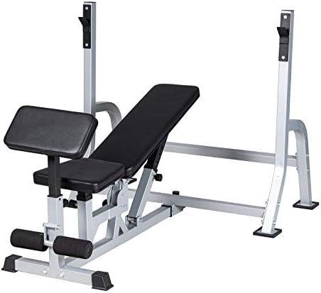 BuyHive Weight Bench Multifunctional Bench Press Weight Lifting Workout Strength Training