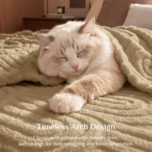 Image of BEDELITE Light Brown Boho Fleece Twin Blanket for Bed, 60x80 Inches
