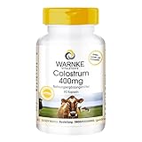Colostrum Kapseln 400mg - Aminosäuren und Immunglobuline - 90 Kapseln