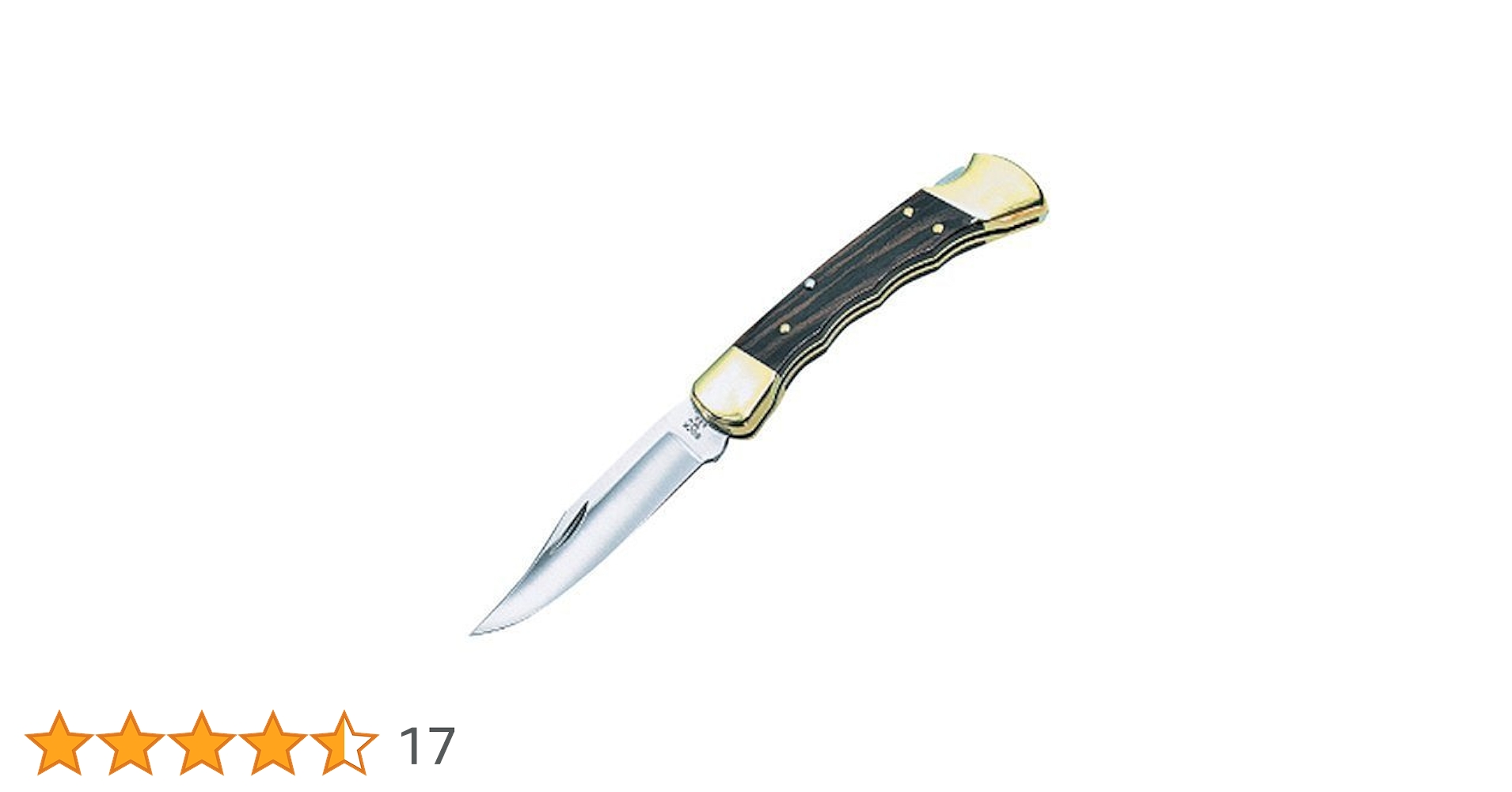 BUCK 110 バック アウトドア フォールディングハンター ナイフ 41cRBIwjBgL.jpg_BO30,255,255,