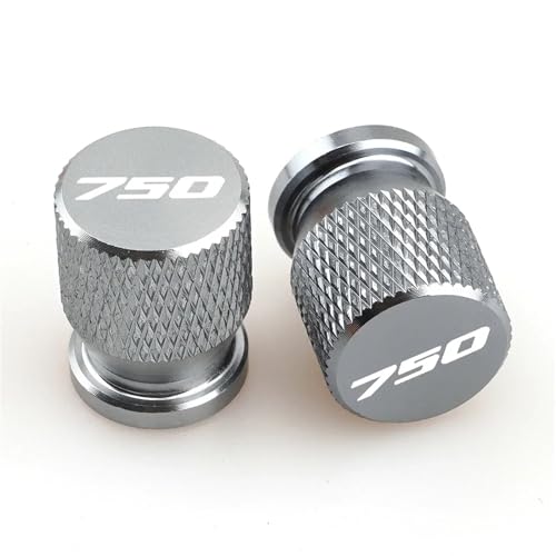 Accesorios de motocicleta CNC para Forza350 acabados de alta gama Premium