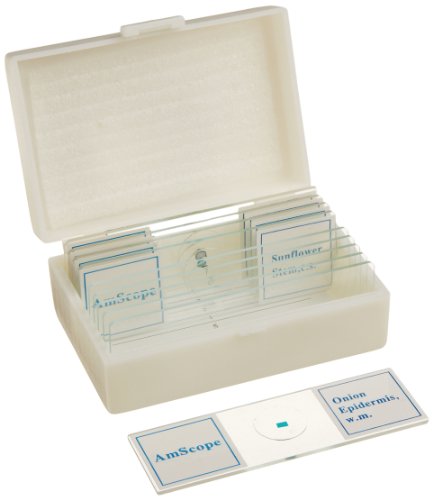 AmScope PS10 Blank and Prepared Microscope Slide Set for Basic Biological Science Education, Includes Five Blank and Five Prepared Slides in a Fitted Plastic Case