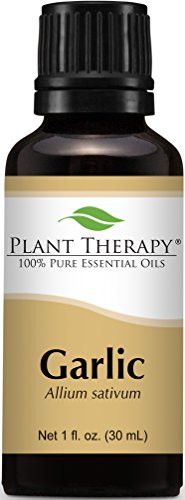Plant Therapy Garlic Essential Oil. 100% Pure, Undiluted, Therapeutic Grade. 30 mL (1 Ounce).