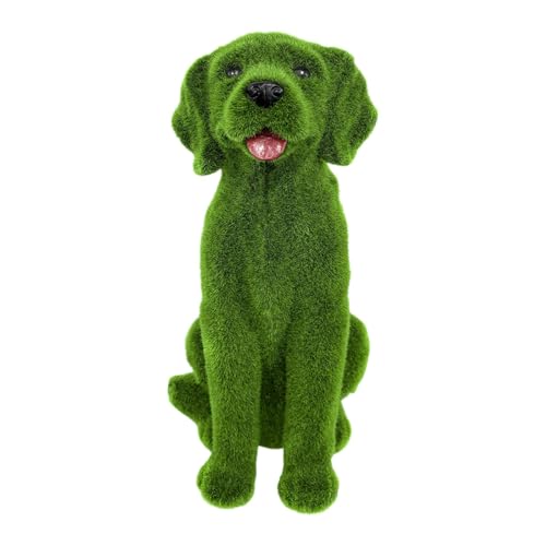 KiBcsLic p̌̑A̒uAAMtgA킢A{̒̒AŐpeBIp̒̑, 18cm×23cm×35cm