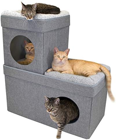 cat condo house