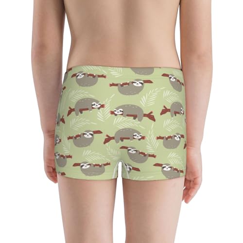 Boys' Cotton Boxer Brief Soft Underwear-Twig Sloth3
