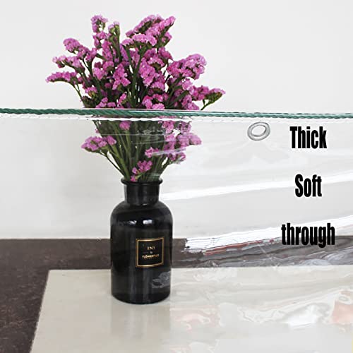 Aglzwy Transparent Waterproof Cover Heavy Duty Pvc Tarpaulin Curtains Garden Plant Cover Weatherproof Tarpaulin With Eyelets, Multiple Sizes (Color : Clear, Size : 1X2.2M/3.28X7.22Ft) #TOP4
