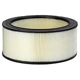 Donaldson P524366 Air Filter, Primary