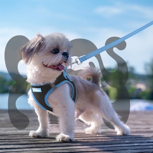 rabbitgoo Step-In Harness & Leash Set (Black & Light Blue, Small) — view 8