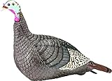 Hunters Specialties HS Strut Lite Hen Turkey Foldable Hollow Body Realistic Decoy, 2 Pieces Pack