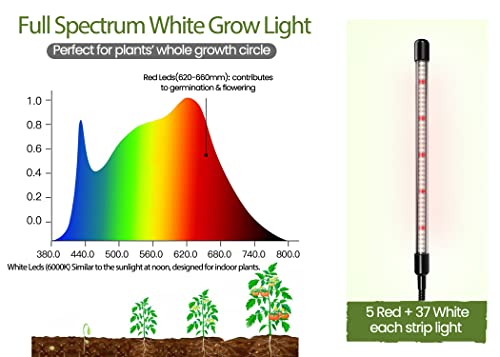 [Upgraded Light] Seed Starter Kit With Grow Light - Durable Seed Tray, 60 Cell Seed Starting Tray, Humidity Dome For Seed Growing Germinating, Seedling Starting, Cutting Clone & Plant Propagation Kit #TOP4