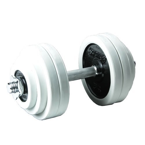 ダンベル30キロ分 Amazon | PURE RISE(ピュアライズ) ダンベル 30KG 1セット