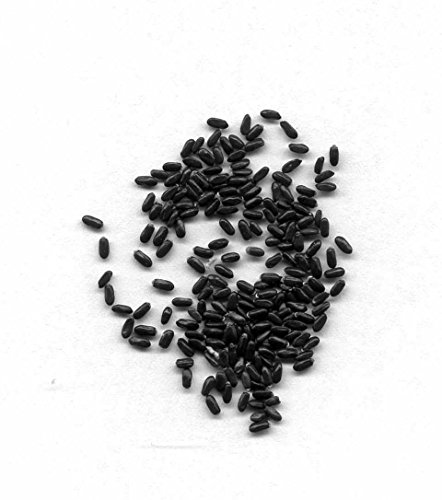 Echter Lavendel ca.150 Samen - Lavandula angustifolia - mehrjährig/winterhart - sehr beliebte Gartenpflanze mit aromatischen Duft