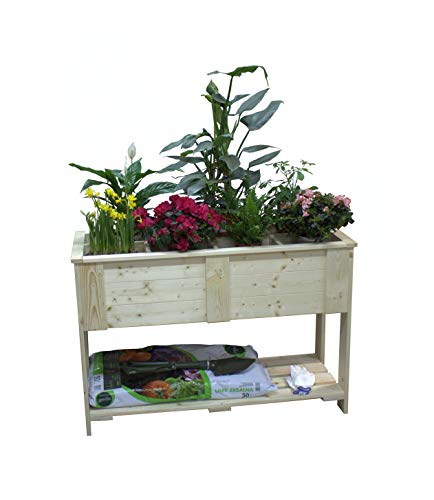 DB Solido aiuola rialzata in legno di abete rosso, fioriera per piante, serra per erbe aromatiche (116 x 48 x 78 cm, con scomparti)